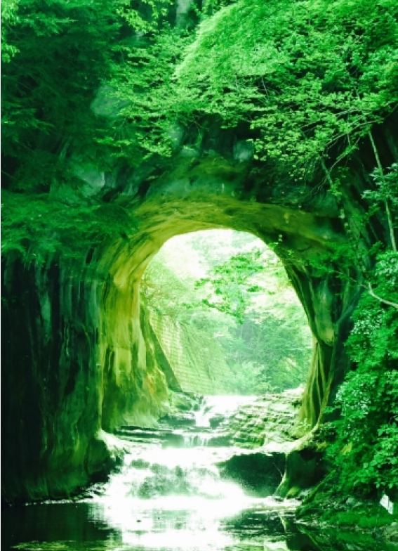 緑の森のトンネル